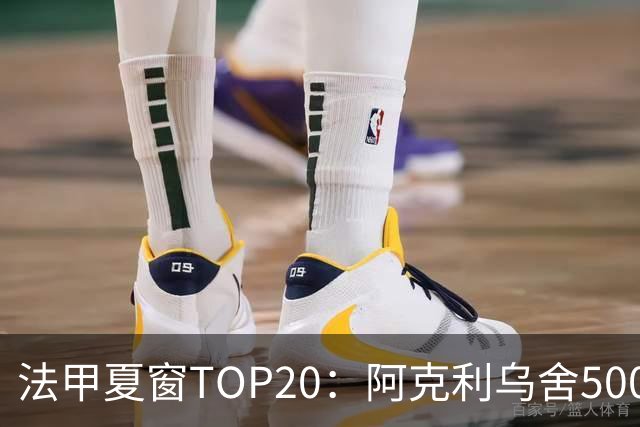 法甲夏窗TOP20：阿克利乌舍5000万欧成标王，费兰4850万欧第二